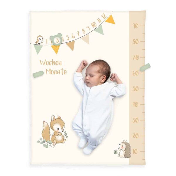 Produktbild Meilensteindecke/Monatsdecke Waldfreunde babybest mit Baby und ZubehÃ¶r